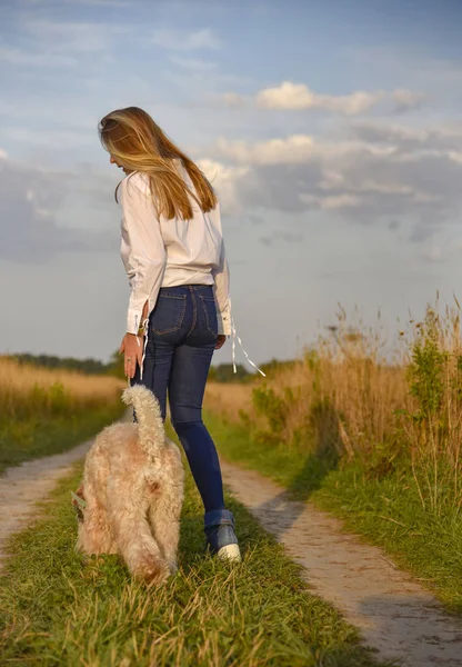 Een Meisje Met Lang Blond Haar Een Ruige Hond Een — Stockfoto