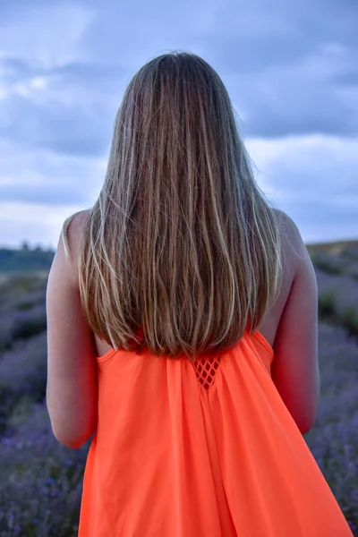 Meisje Permanent Weg Het Veld Bij Het Ochtendgloren Een Lichte — Stockfoto