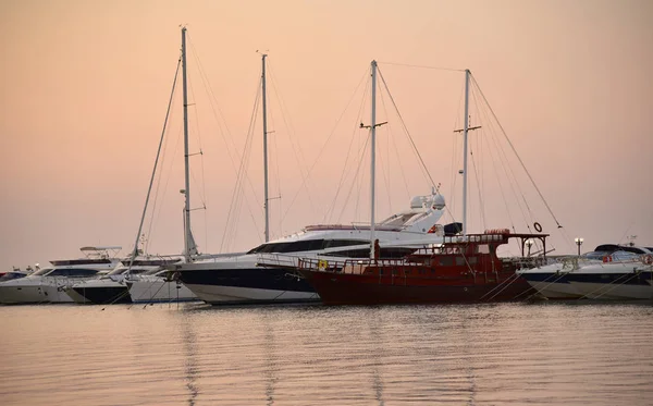 Pink Sunset Sea Lights Yachts Silence — Stock Photo, Image