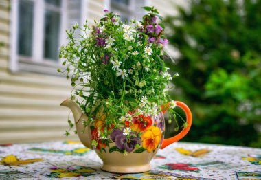 Ülke ev yaz yakın bahçesinde kenarındaki çiçek dolu vazolar standları