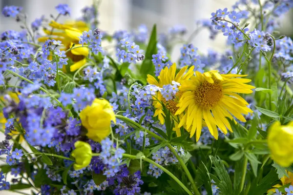 Korun, papatya vahşi çiçekler - mavi ve sarı kapatın — Stok fotoğraf
