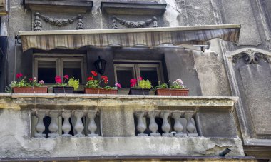 Antik Avrupa Bina balkonunda Sardunya çiçekleri