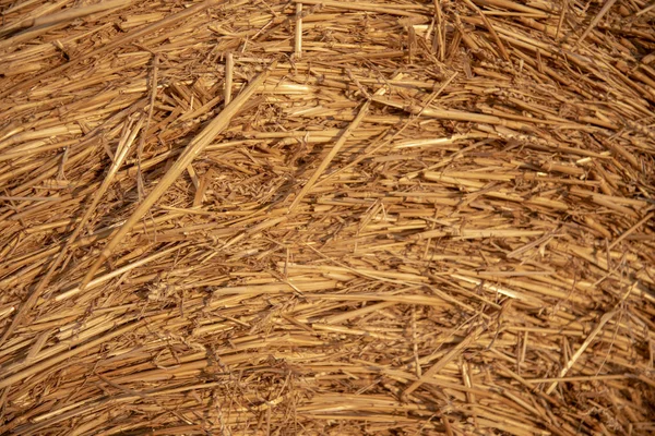 Un pequeño fragmento de un haystack.background o fondo de pantalla . — Foto de Stock