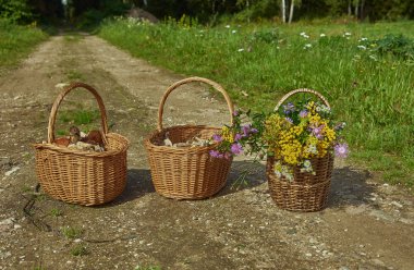 Ormana karşı yolda üç sepet mantar ve çiçek.