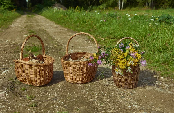 Three baskets of mushrooms and flowers on the road against the forest.