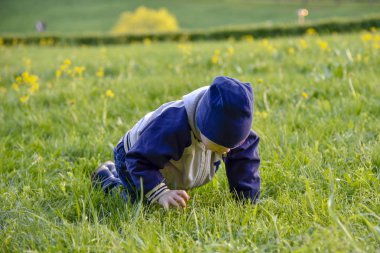 Parlak yeşil çimenlerde sürünen şapkalı küçük bir çocuk.