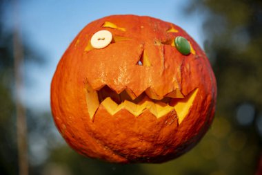 Halloween kabak destek olmadan havada gezindi