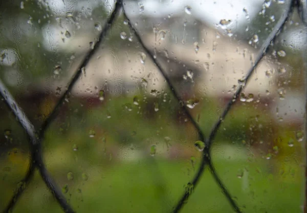 A pane of glass, under which flow the raindrops