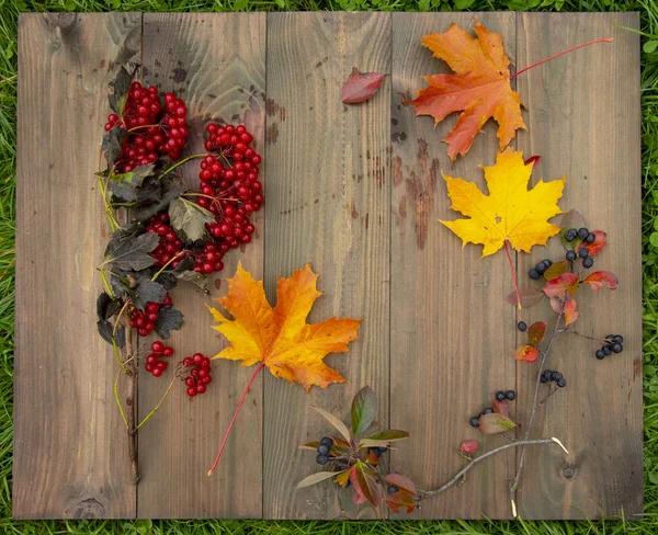 Çilek ve sonbahar yaprakları ahşap masa üzerine serpilir. Masanın üstü çimenlerin üzerinde yatıyor.. — Stok fotoğraf