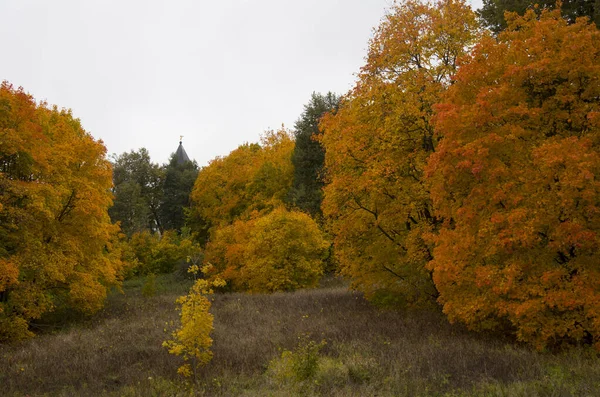 Podzimní krajina.Stromy natřené jasnými barvami: žlutá, oranžová, červená. — Stock fotografie