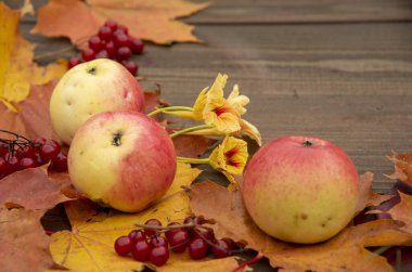 Elma, çilek, sonbahar yaprakları ve ahşap bir arka plan üzerinde çiçekler.