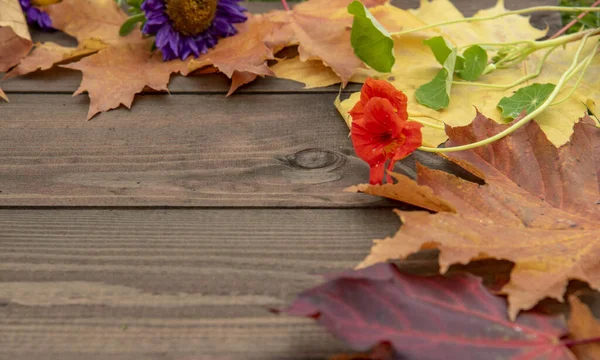 Marco y hojas de otoño y flores sobre fondo de madera. Espacio libre —  Fotos de Stock