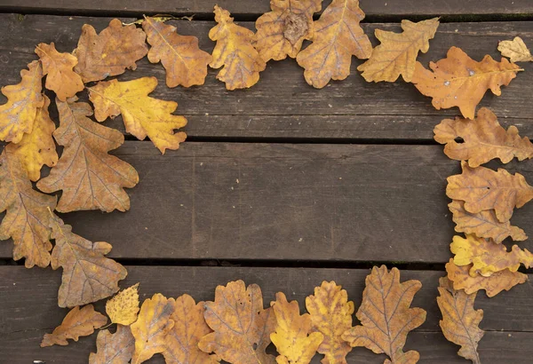 Marco de hojas de roble sobre fondo de madera . —  Fotos de Stock