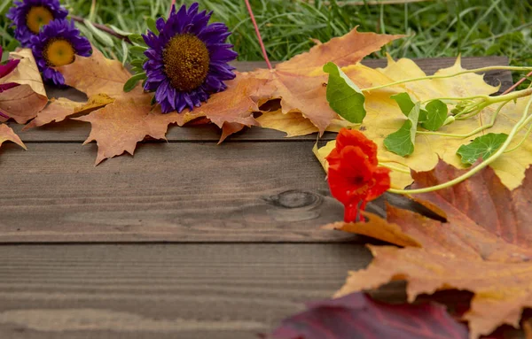 Marco de hojas brillantes de otoño, manzanas, bayas y flores sobre un fondo de madera.Lay plano, Vista superior —  Fotos de Stock