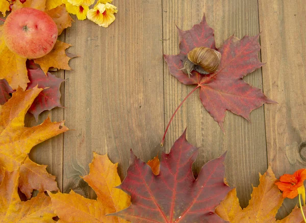 Marco de hojas brillantes de otoño, manzanas, bayas y flores sobre un fondo de madera.Lay plano, Vista superior —  Fotos de Stock