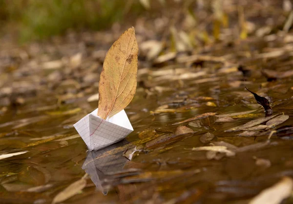 Un bateau en papier flotte dans une flaque d'eau, une feuille de chêne rouge au lieu d'une voile, autour des feuilles d'automne tombées se trouvent — Photo