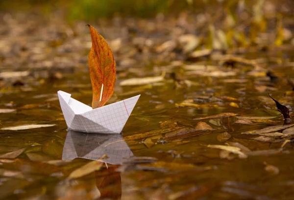 Papírový člun plave v kaluži, dub červený list místo plachty, kolem spadlého podzimního listí leží — Stock fotografie