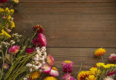 Ahşap bir arka planda kurumuş çiçek çerçevesi. Metin için boşluk, genel giderler, düz yatış.