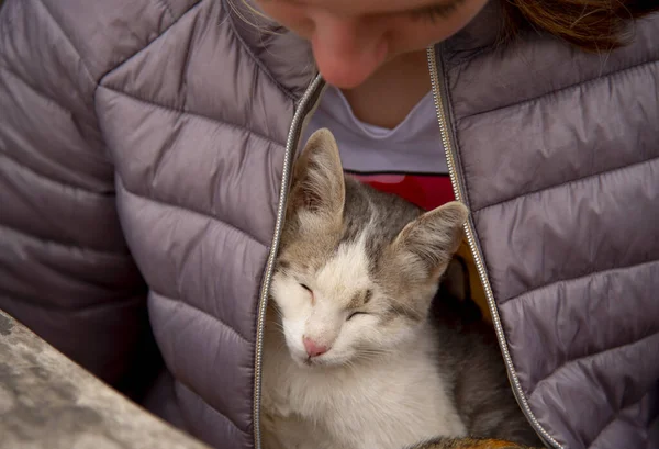 Kattungen sitter i flickans famn — Stockfoto