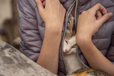 Yavru kedi, kızın kucağında oturuyor.