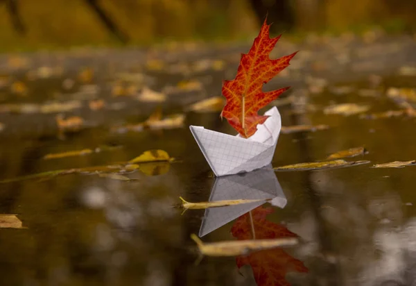 Um barco de papel flutua em uma poça, em vez de uma vela tem uma folha de outono de carvalho vermelho . — Fotografia de Stock