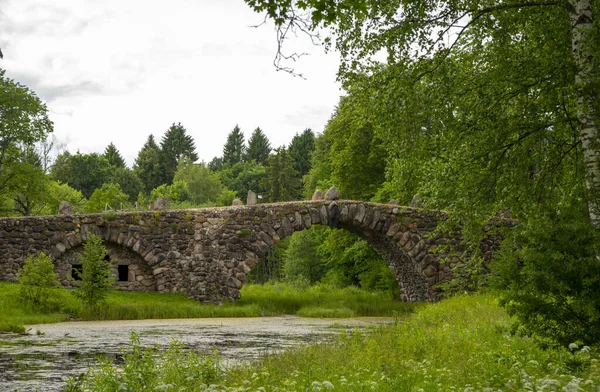 Eine Brücke aus riesigen Steinen über einen Teich im Park. — Stockfoto