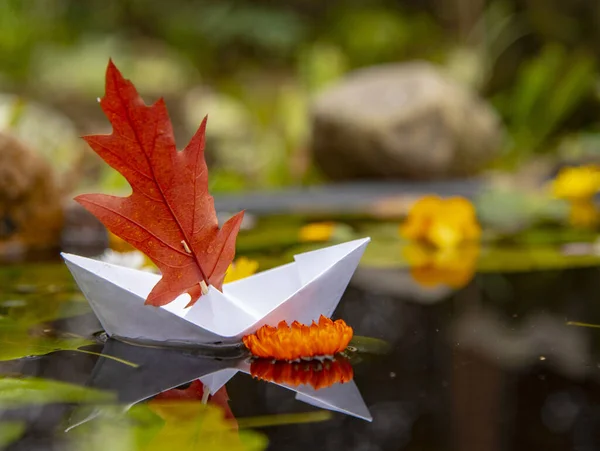 Una barca di carta galleggia nell'acqua scura, e intorno a fiori luminosi e foglie cadute . — Foto Stock