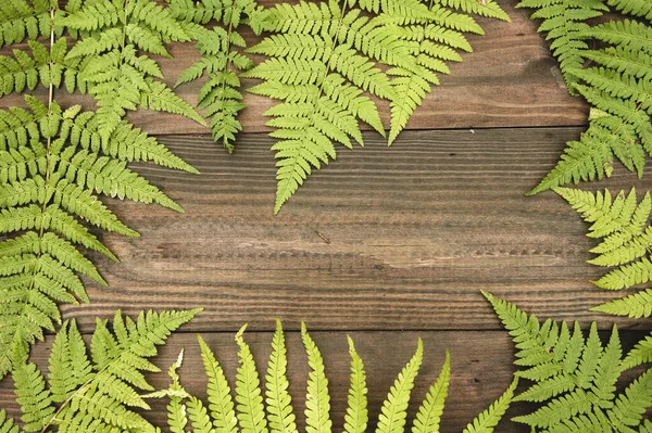 Hojas de helecho talladas verdes sobre fondo de madera . —  Fotos de Stock