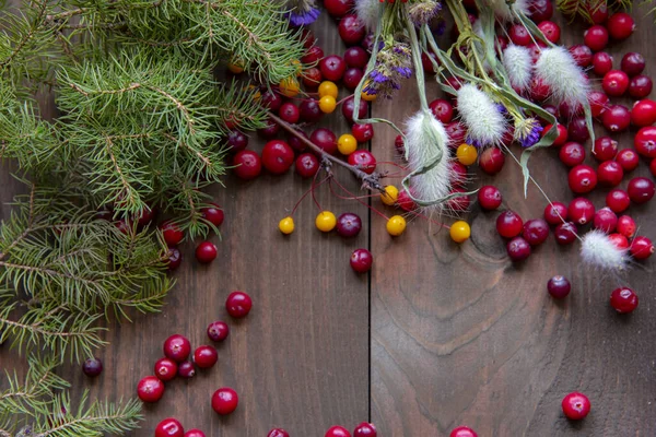 Green branches of the tree, bright cranberries and dried flowers on a wooden background. — Stock Photo, Image