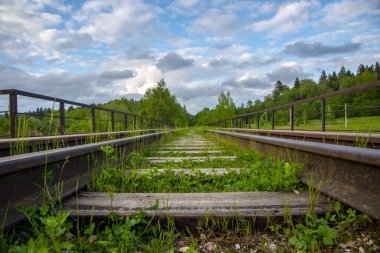 Terk edilmiş eski bir demiryolu, yeşil çimlerle kaplanmış. Resimli endüstriyel manzara. Demiryolları uzaklaşıyor..