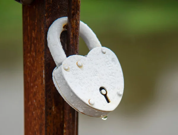 모양의 자물쇠는 자연을 배경으로 다리에 고정되어 자물쇠에 빗방울 — 스톡 사진