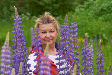65 yaşındaki olgun bir kadın Lupin tarlasında poz verir..