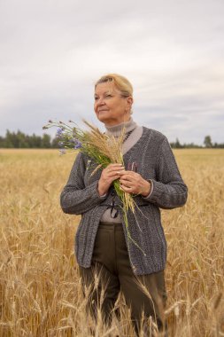 65 yaşında yaşlı bir kadın çavdar tarlasında bir buketle duruyor..