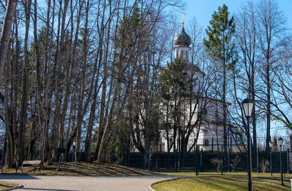 Elegante Witte Kerk Met Een Zwarte Koepel Gefotografeerd Tussen Bomen — Stockfoto