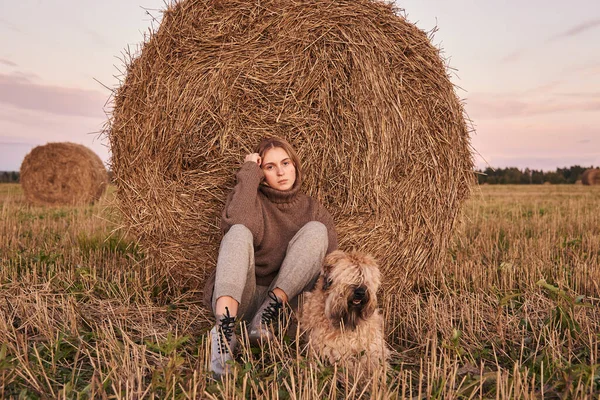 Triest Charmant Meisje Een Warme Trui Met Een Hond Tarwezachte — Stockfoto