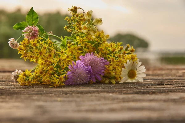 Bir Buket Yabani Çiçek Doğanın Bulanık Arka Planında Ahşap Bir — Stok fotoğraf