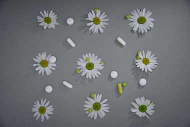 Beyaz papatya çayı çiçekleri, gri arka planda çeşitli kapsüller ve tabletler..