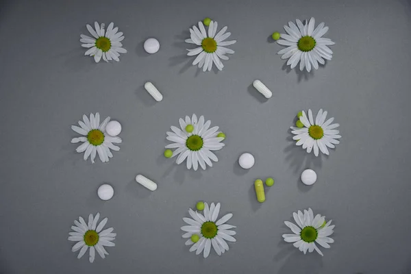 Bílé Květy Léčivého Heřmánku Různé Tobolky Tablety Šedém Podkladě — Stock fotografie