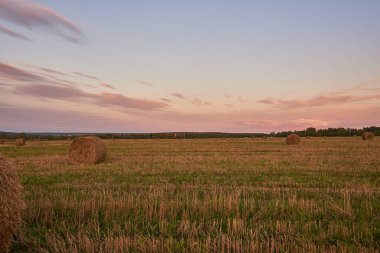 Saman yığınlarıyla dolu bir çim tarlasının üzerinde gün batımı. Akşamları sonbahar manzarası.