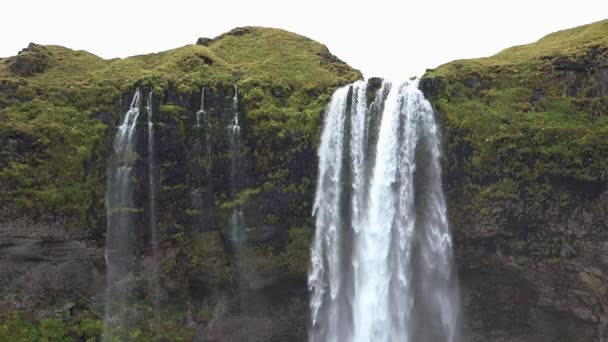 Самый знаменитый исландский водопад - Seljalandsfoss . — стоковое видео