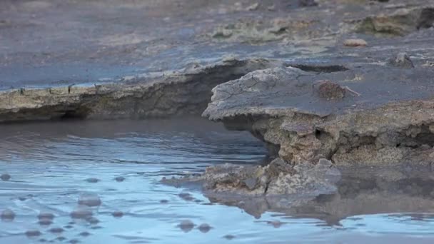Island. Geotermiskt fält med fumaroler och gejsrar. Område med naturliga ångavlopp och lera pooler runt sjön Myvatn, — Stockvideo
