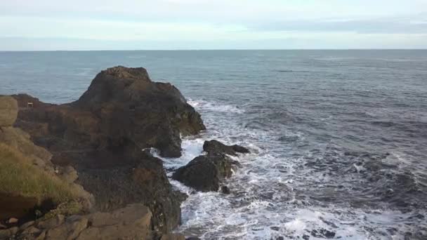 İzlanda. Volkanik siyah kumlu plajlar. — Stok video