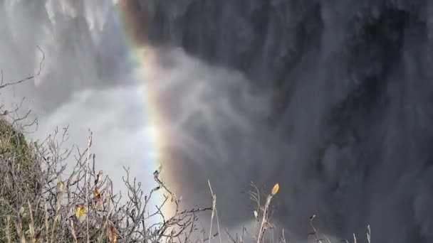 Island. Regenbogen am Dettifoss Wasserfall. Mivatn-See. — Stockvideo