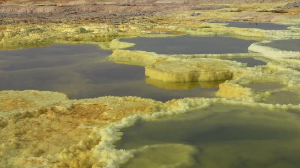 Afrika. Meer in de krater van Dallol vulkaan in de Ethiopische woestijn. — Stockvideo