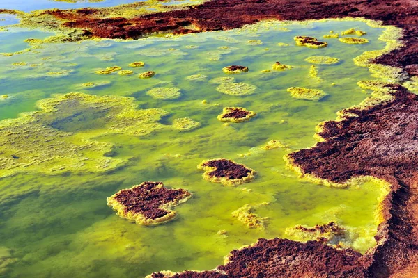 Etiópia. Lago Dallol, Etiópia. A paisagem colorida do lago Dallol na cratera do vulcão Dallol. Lago Dallol com o seu enxofre — Fotografia de Stock