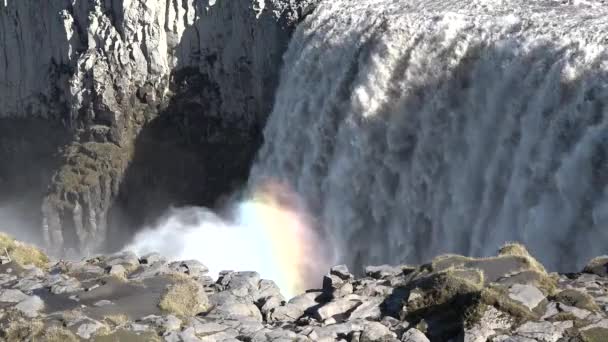 Island. Mocné vodopády přitahují miliony turistů z celého světa do této země — Stock video