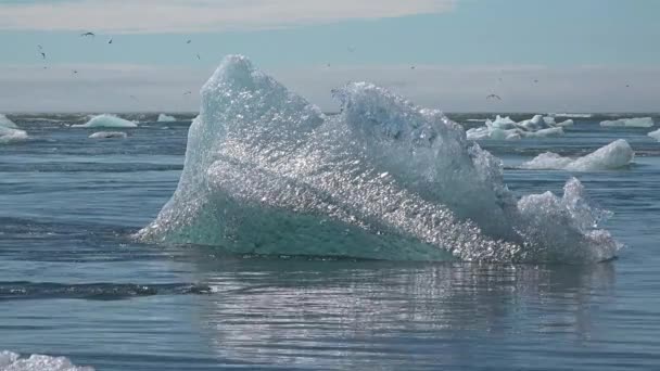 아이슬란드. 해안에 있는 얼음 조각들 이 요 쿨 사 론 빙하의 빙산이 녹으면서 생긴 것입니다. 지구 온난 화 와기 후 변화의 개념. — 비디오