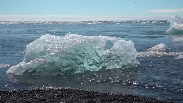 İzlanda. Jokulsarlon buzulunun eriyen buzdağlarından kıyıdaki buz parçaları. Küresel ısınma ve iklim değişikliği kavramı. — Stok video