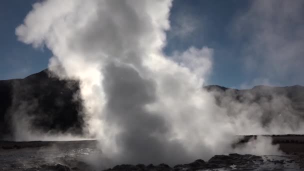 Chili. La source d'eau thermale naturelle produit de la vapeur chaude au lever du soleil dans la célèbre vallée du geyser El Tatio à 4320 — Video