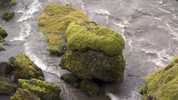 Ісландія. Водоспад Скогафос в ісландському ландшафті. Знаменита туристична пам "ятка і природне місце на кільцевій дорозі.. — стокове відео